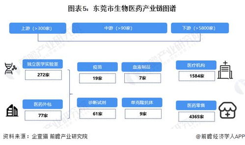 重磅 2023年?yáng)|莞市生物醫(yī)藥產(chǎn)業(yè)鏈全景圖譜 附產(chǎn)業(yè)政策 產(chǎn)業(yè)鏈現(xiàn)狀圖譜 產(chǎn)業(yè)資源空間布局 產(chǎn)業(yè)鏈發(fā)展規(guī)劃